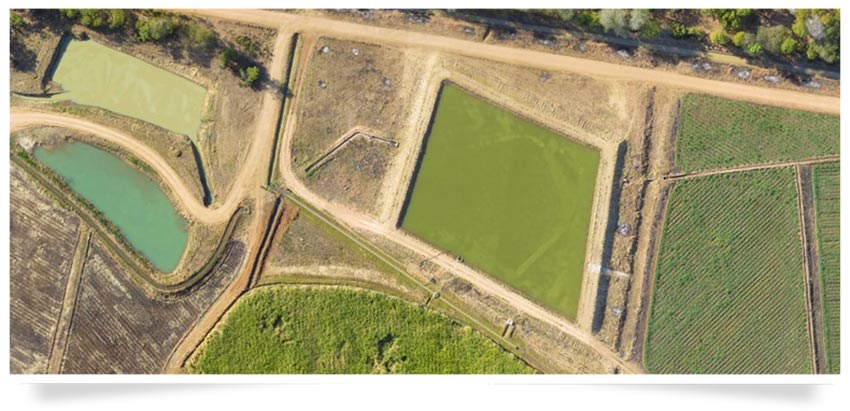 drone_survey-agriculture_land_survey-agricultural_consulting.jpg