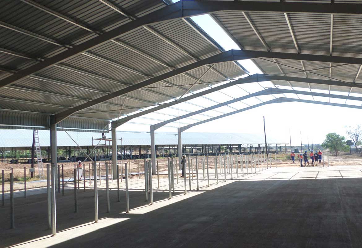 Cow Shed Construction