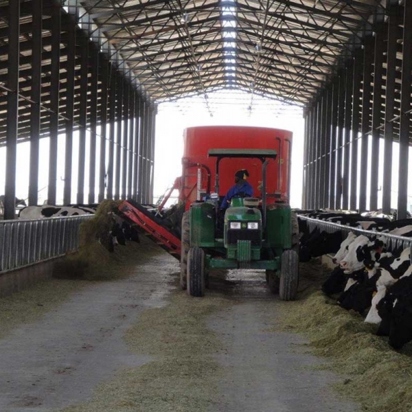 Agriculture Construction