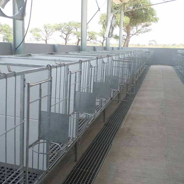 Calf Pens