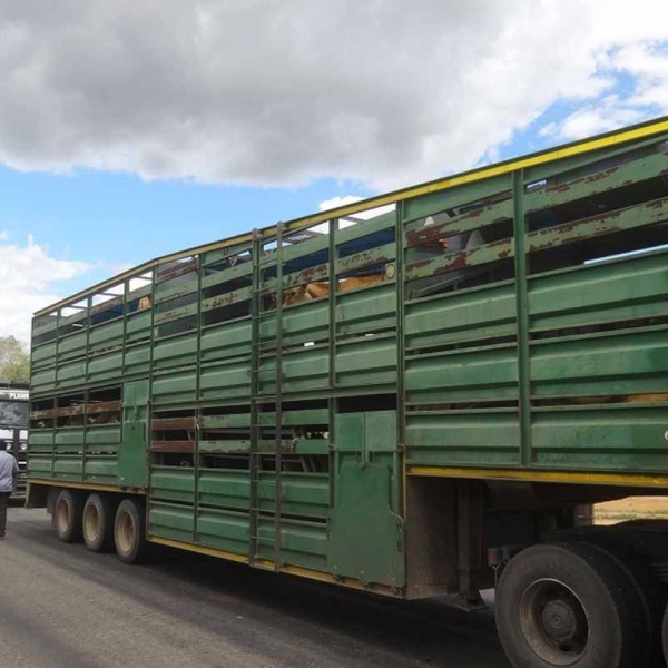 Livestock Sourcing & Transport