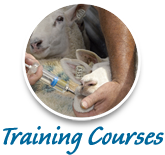 training courses agricultural consultants