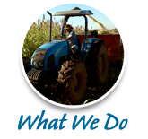 what we do agricultural consultants
