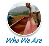 who we are agricultural consultants